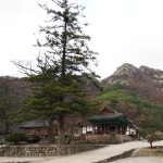 [E-M5m2+12-32] 11월 말의 변산반도 여행 (1/2) - 올림푸스 Talk [E-M5m2+12-32] 11월 말의 변산반도 여행 (1/2)