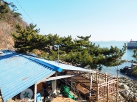 [m5mk2+12-40]충남 태안 가의도 사진(2) - 올림푸스 Talk [m5mk2+12-40]충남 태안 가의도 사진(2)