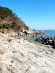[m5mk2+12-40]충남 태안 가의도 사진(2) - 올림푸스 Talk [m5mk2+12-40]충남 태안 가의도 사진(2)