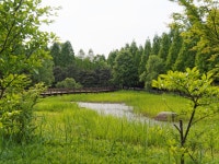 (23pics)[E-M5] 물향기 수목원 풍경 - 올림푸스 Talk (23pics)[E-M5] 물향기 수목원 풍경