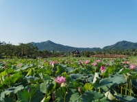 (25pics)[E-M5] 아산 신정호수 - 올림푸스 Talk (25pics)[E-M5] 아산 신정호수