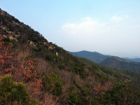 [ZS3] 칭찬은 고래도 춤추게 한다더니... - 파나소닉 Talk [ZS3] 칭찬은 고래도 춤추게 한다더니...