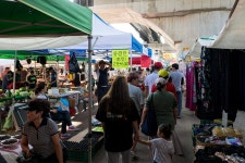 [GM1S & GX85] 가는 날이 장날~ - 파나소닉 Talk [GM1S & GX85] 가는 날이 장날~