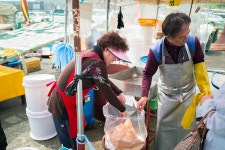 [gx7,gx85,p5] 멸치사러... - 파나소닉 Talk [gx7,gx85,p5] 멸치사러...