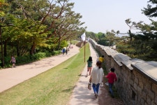 [gx8+12.4] 수원 화성 둘레길 - 파나소닉 Talk [gx8+12.4] 수원 화성 둘레길