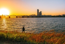 [GX85 + 1240 ] 반포한강공원 서래섬 02 - 파나소닉 Talk [GX85 + 1240 ] 반포한강공원 서래섬 02