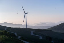 태백여행 -물닭갈비 , 추전역, 해바라기마을, 바람의언덕 - 파나소닉 Talk 태백여행 -물닭갈비 , 추전역, 해바라기마을, 바람의언덕