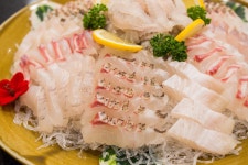 모둠회와 스끼다시 - 파나소닉 Talk 모둠회와 스끼다시