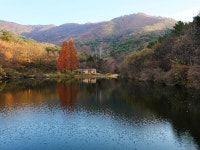 [G9] 송곡지 나들이 - 파나소닉 Talk [G9] 송곡지 나들이