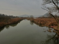 [gx85+타] 썸네일로 보는 초겨울 습지의 아침 - 파나소닉 Talk [gx85+타] 썸네일로 보는 초겨울 습지의 아침