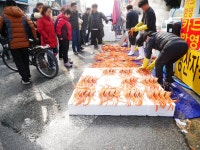 [GF10+12-32] 포항 죽도시장 한바퀴~ - 파나소닉 Talk [GF10+12-32] 포항 죽도시장 한바퀴~