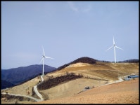 강릉 안반대기 - 파나소닉 Talk 강릉 안반대기