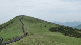 S5..소백산. - 팝코넷 | 팝게&톡 이슈게시판 S5..소백산.