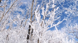 계방산, - 파나소닉 Talk 계방산,