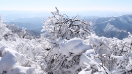 계방산, - 파나소닉 Talk 계방산,