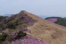 G9 화왕산, - 파나소닉 Talk G9 화왕산,