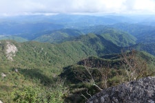 S5m2+20~60, 대암산용늪, - 파나소닉 Talk S5m2+20~60, 대암산용늪,