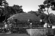 [k-x] 태릉 구경 - 리코 & 펜탁스 Talk [k-x] 태릉 구경