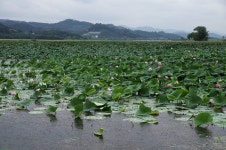주남.. - 리코 & 펜탁스 Talk 주남..