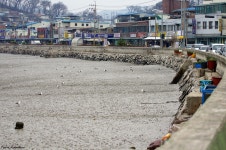 [k-3]#3_SNAP - 리코 & 펜탁스 Talk [k-3]#3_SNAP