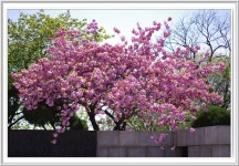 DA50mm f1.8 영입 테스트 샷 - 리코 & 펜탁스 Talk DA50mm f1.8 영입 테스트 샷