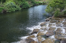 K3ii] #안양 #학의천 #산책 - 리코 & 펜탁스 Talk K3ii] #안양 #학의천 #산책