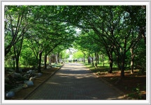 [타]공원에서 - 리코 & 펜탁스 Talk [타]공원에서