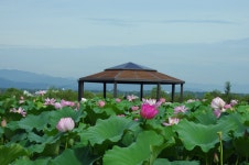 풍호마을에서 (K-5ii) - 리코 & 펜탁스 Talk 풍호마을에서 (K-5ii)