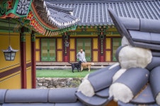 [KP + 20-40] 치악산 계곡에서 - 리코 & 펜탁스 Talk [KP + 20-40] 치악산 계곡에서
