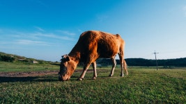 우도여행가서 찍은 사진입니다. - 삼성 Talk 우도여행가서 찍은 사진입니다.