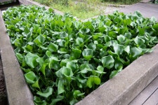 [NX1] 선유도 공원 - 삼성 Talk [NX1] 선유도 공원