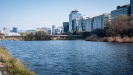 탄천풍경 - 삼성 Talk 탄천풍경