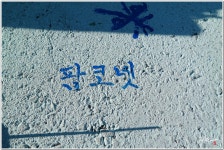 [NX30, 타] 이제 영원히 사라지는 서울고가 자동차길 - 삼성 Talk [NX30, 타] 이제 영원히 사라지는 서울고가 자동차길