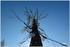 [NX30, 타] 이제 영원히 사라지는 서울고가 자동차길 - 삼성 Talk [NX30, 타] 이제 영원히 사라지는 서울고가 자동차길