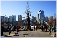 [NX30, 타] 이제 영원히 사라지는 서울고가 자동차길 - 삼성 Talk [NX30, 타] 이제 영원히 사라지는 서울고가 자동차길