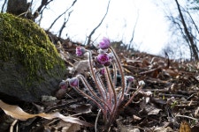 풍도에 다녀왔습니다 - 삼성 Talk 풍도에 다녀왔습니다