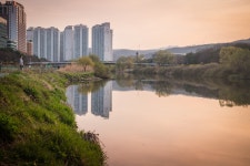 탄천 풍경 - 삼성 Talk 탄천 풍경