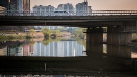 탄천 풍경 - 삼성 Talk 탄천 풍경