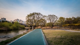 탄천 풍경 - 삼성 Talk 탄천 풍경