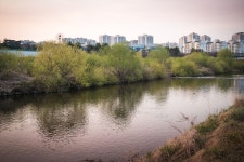 탄천 풍경 - 삼성 Talk 탄천 풍경