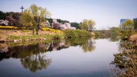 탄천의 풍경 - 삼성 Talk 탄천의 풍경