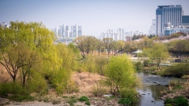 탄천의 풍경 - 삼성 Talk 탄천의 풍경