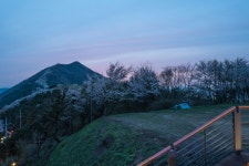 [NX500] 진해여행 (4) 10pic - 삼성 Talk [NX500] 진해여행 (4) 10pic