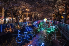 [NX500] 진해여행 (5) 6pic - 삼성 Talk [NX500] 진해여행 (5) 6pic