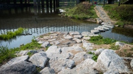 탄천의 풍경 - 삼성 Talk 탄천의 풍경