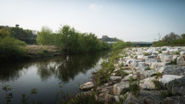 탄천의 풍경 - 삼성 Talk 탄천의 풍경