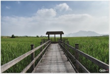 [POTY 2016] 돌이켜보는 것 [배경음] - 삼성 Talk [POTY 2016] 돌이켜보는 것 [배경음]