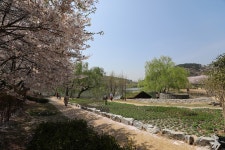 [타] 울산 선암 수변공원 - 삼성 Talk [타] 울산 선암 수변공원