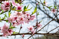 nx500 / nx20-50 인천 문학산에 올라갔다 왔어요 - 삼성 Talk nx500 / nx20-50  인천 문학산에 올라갔다 왔어요