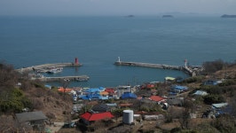 [nx1] 안산 풍도의 봄소식 - 삼성 Talk [nx1] 안산 풍도의 봄소식